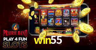 Casino VIP win55
